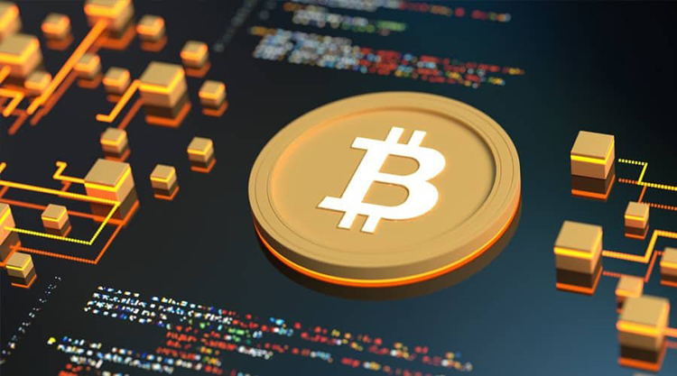 पुन बढ्न थाल्यो बिटक्वाइनको मूल्य, ५० हजार डलर पुग्यो