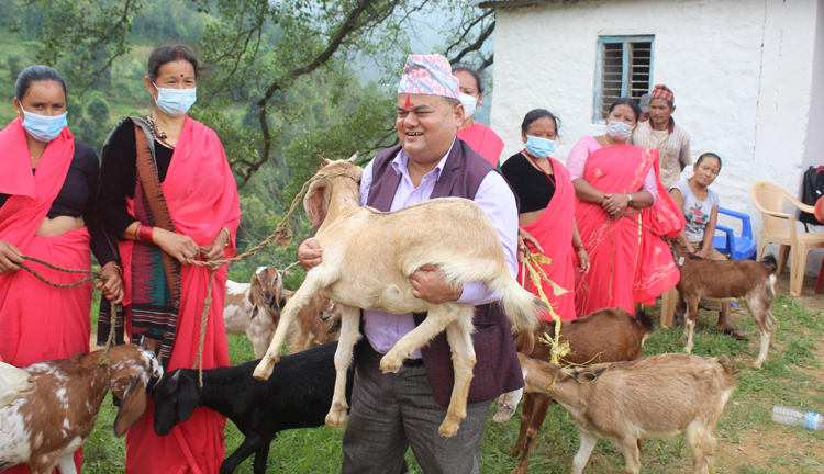 पकेट क्षेत्र विस्तार गर्न बाख्रा उपहार
