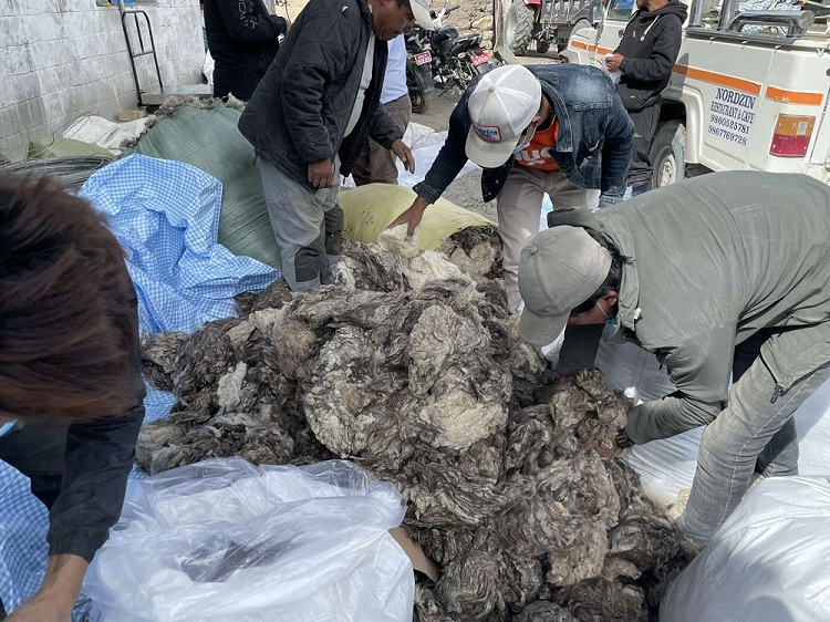 पस्मिना उत्पादनका लागि ऊनको गुणस्तर अध्ययन