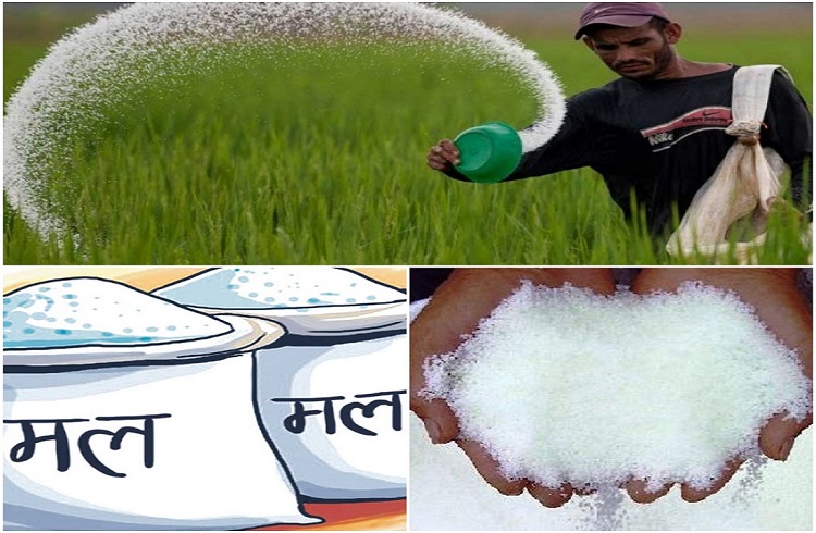 मल अभावले कृषकलाई पिरलो : सुक्खा बन्दगाहमा डेढ लाख बोरा मल नष्ट गर्न छ्यालब्याल