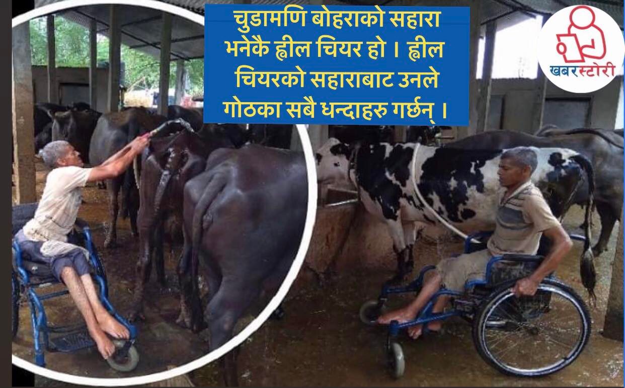 ह्वील चियरमा अडिएको चुडामणिको कथा