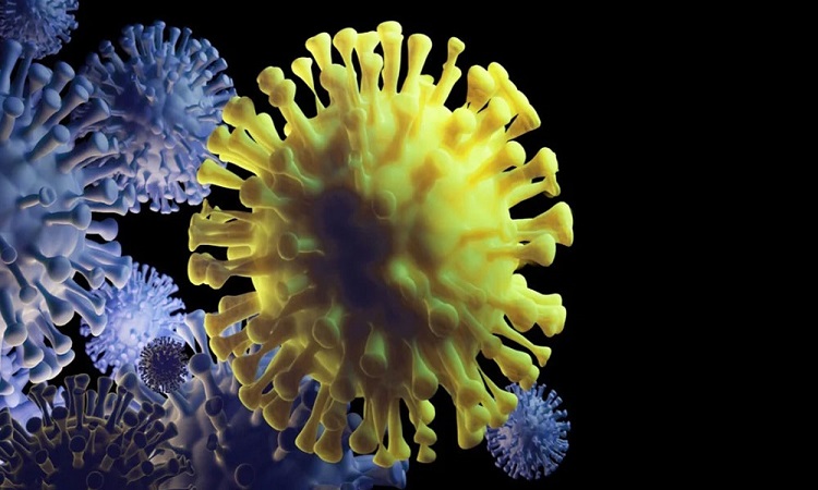 नयाँ भेरियन्टबाट बच्न प्रदेश सरकार सक्रिय