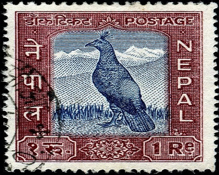 ४ महिनामा रु ३४ लाखको टिकट बिक्री