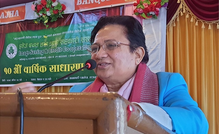 शेयरधनीलाई बोनस होइन, विद्युतीय चुल्हो बाडौँः ऊर्जामन्त्री भुसाल