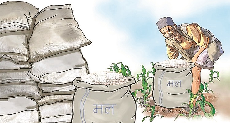 धनुषामा रासायनिक मलको अभाव, दिनभर डिलरमा कुरेर बस्छन् किसान