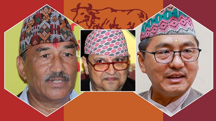 लिङ्देनलाई थापाको चारबुँदे पत्र : छानबिन वा कारबाही ?