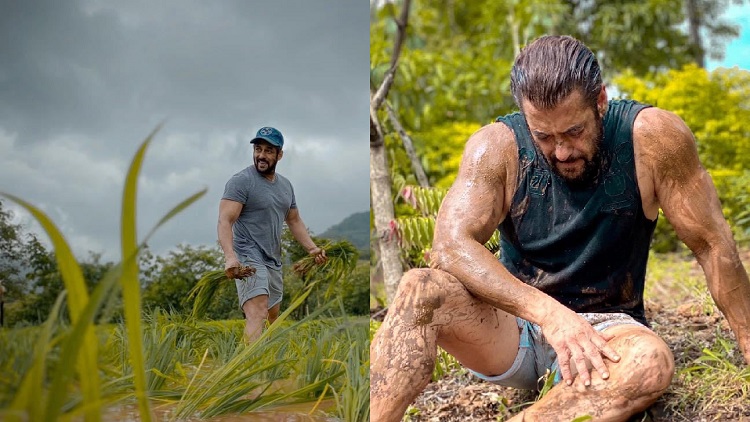 बलिउडका अभिनेता सलमान खानलाई सर्पले टोक्यो