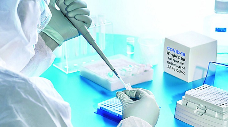 २४१ सङ्क्रमित थपिँदा निधन हुनेको सङ्ख्या शून्य