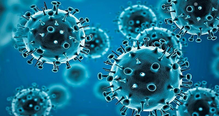 एकै दिन १२ हजार बढीलाई कोरोना संक्रमण