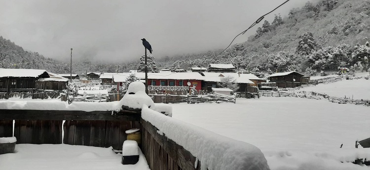 हिमाली बस्तीमा हिमपातले जनजीवन प्रभावित