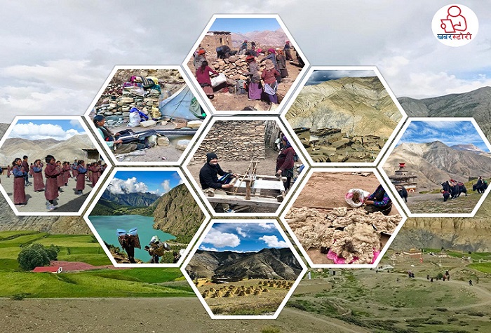 उपल्लो डोल्पालीका दुःखको कथा