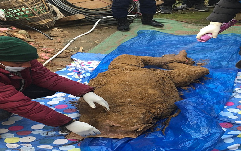 १६ पुसदेखि हराइरहेकी महिलाको शव घरभित्रै फेला