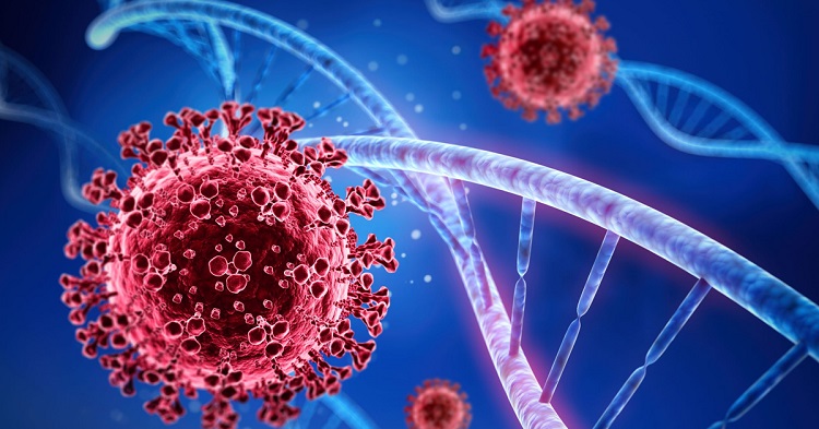 ओमिक्रोन भेरियन्ट लामो समयसम्म छाला र प्लाष्टिकमा जीवितै रहन्छः अध्ययन