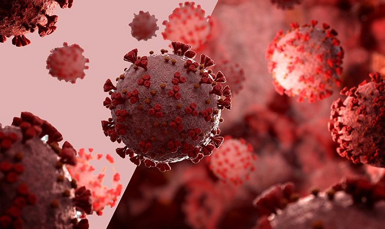 मधेश प्रदेश : खोप लगाउने बढ्दै,कोरोना ग्राफ घट्दै