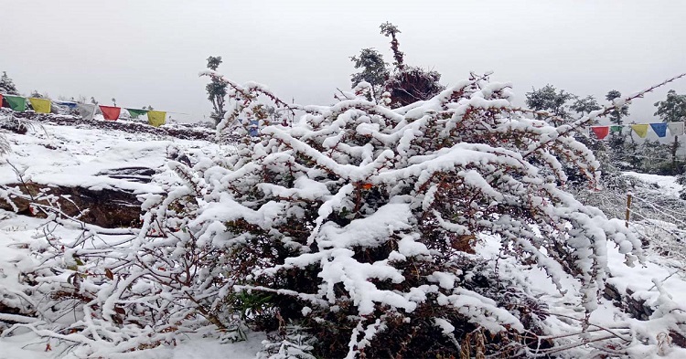 माघमा भारी वर्षा, काठमाडौं उपत्यका वरपरका डाँडामा हिमपात