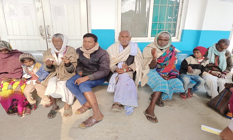 स्यालको टोकाईबाट मुखियासहित १५ जना घाइते