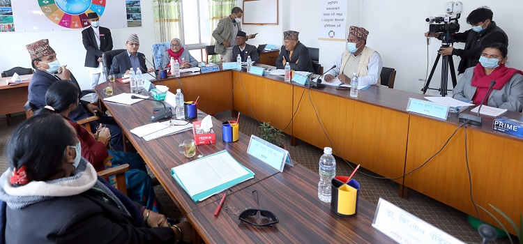 अध्यक्ष तिमिल्सिना एकै दिन दुईवटा संसदीय समितिको बैठकमा सहभागी