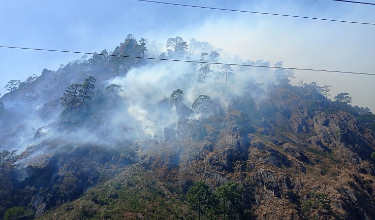 रसुवाको वन क्षेत्रमा डढेलो