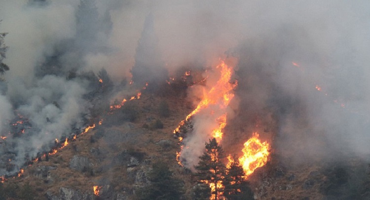 चैतको वर्षाले राहत : डढेलो नियन्त्रण