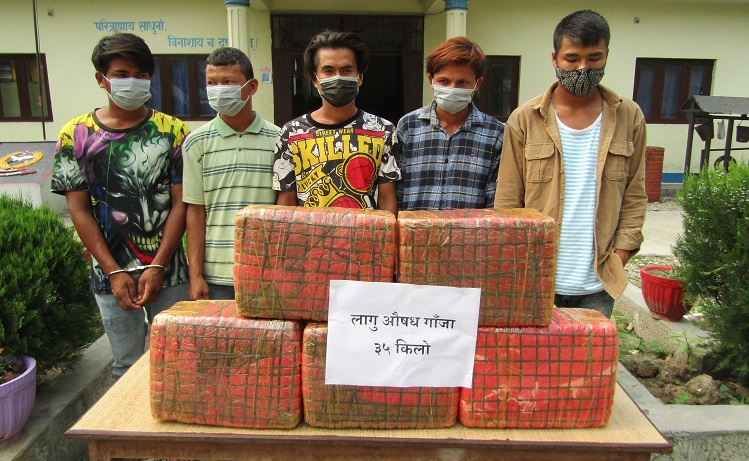 ३५ किलो गाँजासहित पाँचजना पक्राउ