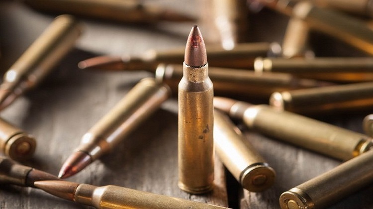 गोलीसहित त्रिभुवन अन्तर्राष्ट्रिय विमानस्थलबाट एकजना पक्राउ