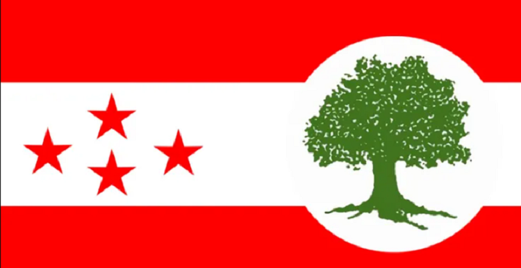 कांग्रेस पोखराले खोल्यो मेयर र उपमेयरको आवेदन