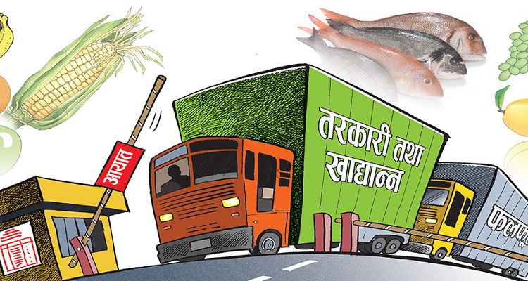 नौ महिनामा ६० अर्बको खाद्यान्न आयात, जुनेलोसमेत किनेर खान थालेपछि......