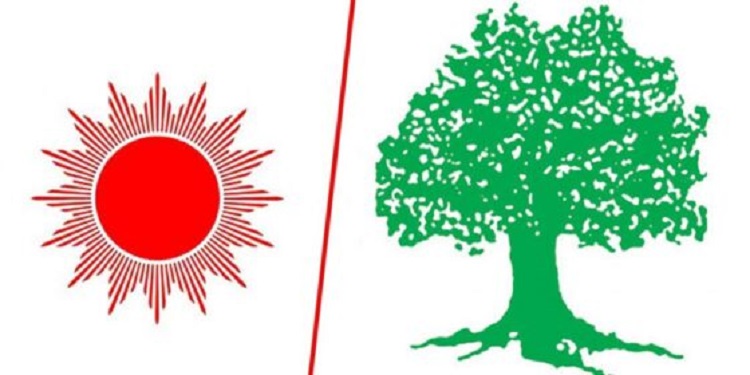 स्याङ्जाको वालिङमा मेयर एमाले र उपमेयरमा कांग्रेस विजयी