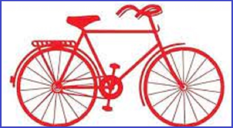 सर्लाहीमा लोसपाको पहिलो जित