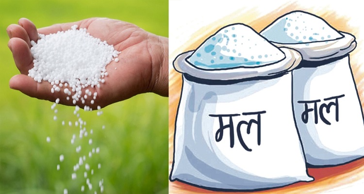 युरिया मलको अभाव हुँदा किसान मर्कामा