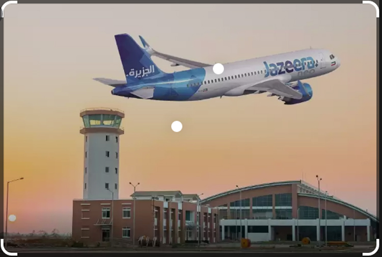 गौतमबुद्ध विमानस्थलमा जजिरा विमानसँग चरा ठोकिएपछि होल्डमा