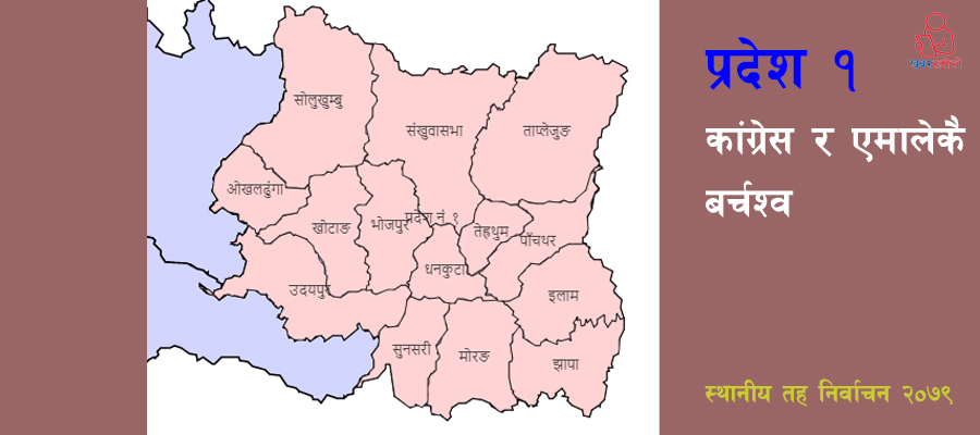 प्रदेश १ मा कांग्रेस र एमालेकै बर्चश्व, कसकसले जिते ? (सूचीसहित)