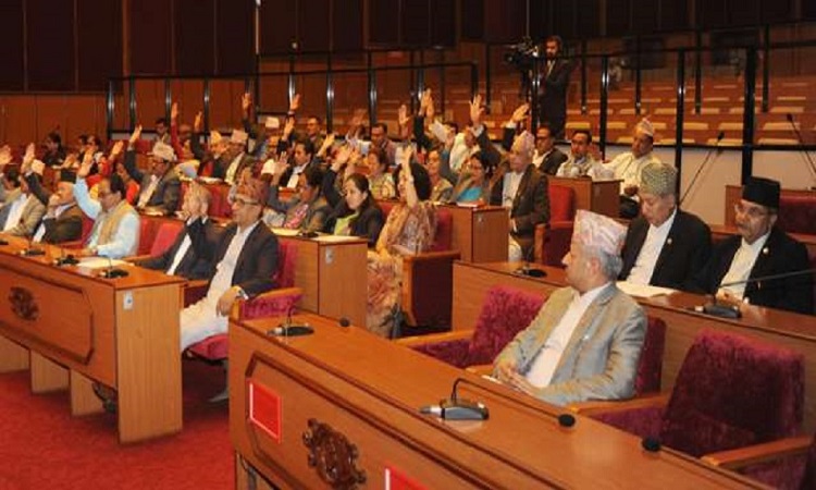 बलात्कार मुद्धामा तत्काल हदम्याद हटाउन माग गर्दै राष्ट्रिय सभामा संकल्प प्रस्ताव पेश