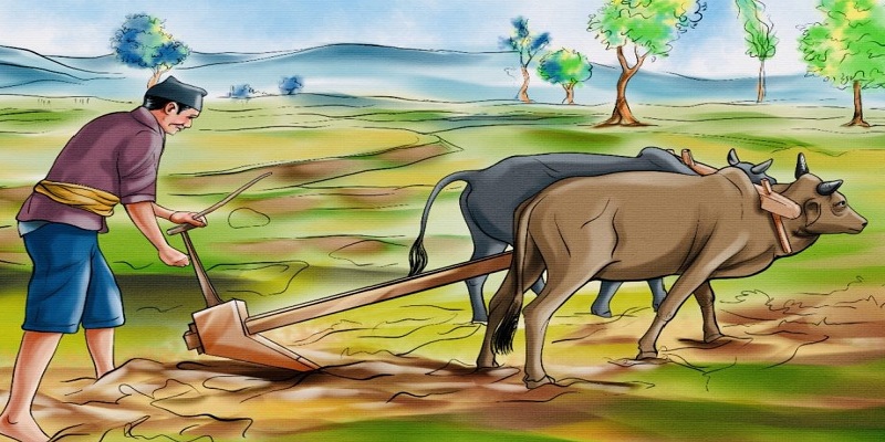 सरकारको किसान पेन्सन योजनादेखि सहुलियत कर्जाका कार्यक्रमहरु