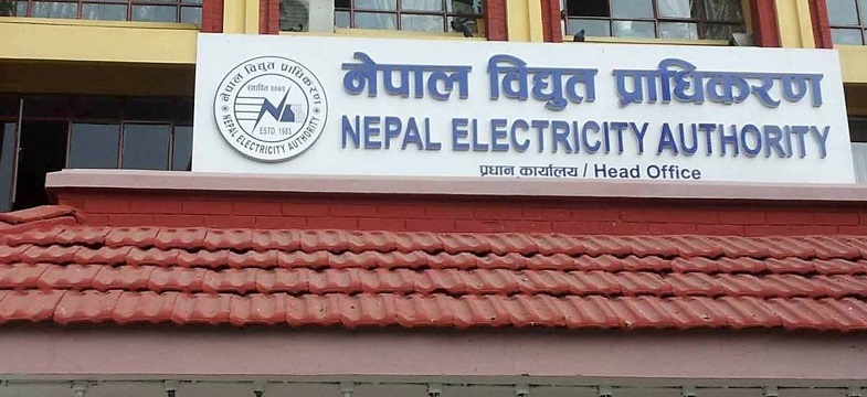 जनतालाई विद्युत् प्राधिकरणको सेयर दिइने