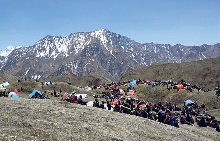 हिमपातले मनाङमा यार्सा संकलन प्रभावित