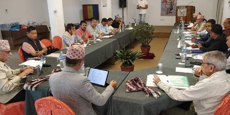 प्रत्यक्ष निर्वाचित प्रधानमन्त्री र अभिभावकीय भूमिकामा राजा हुनुपर्ने राप्रपाको प्रस्ताव