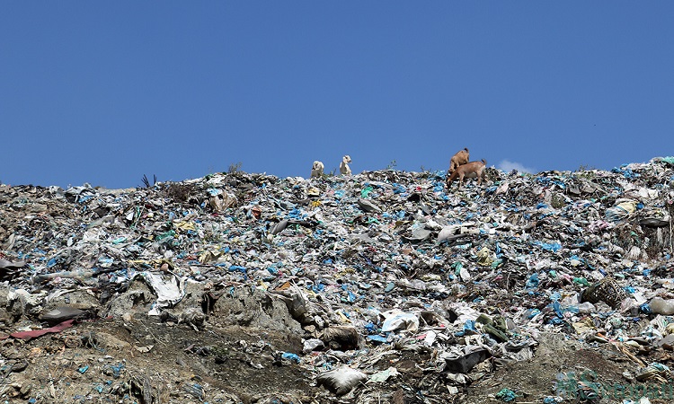 यस्तो छ नुवाकोटको सिसडोल डम्पिङ साइटको अस्तव्यस्त अवस्था  (फोटोफिचर)