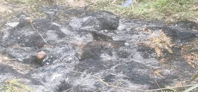 दार्चुलामा जलाएर एकल महिलाको हत्या, दुई जना पक्राउ