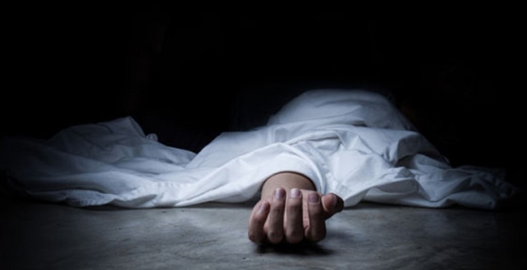 माटोको ढिस्कोले पुरिएर बाटोमा खेल्दै गरेका दाजुभाइको मृत्यु