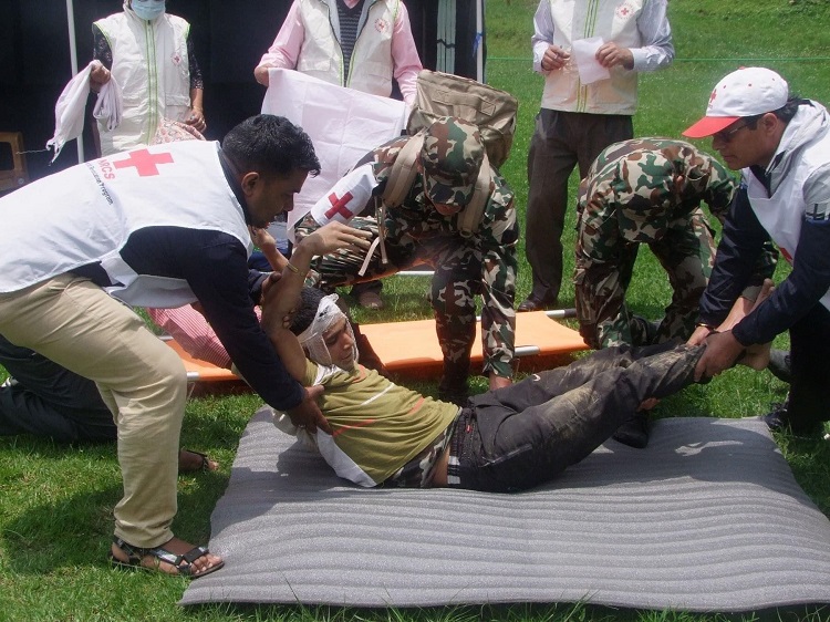 बिजुली तारमा हिँडेका माइलालाई काठमाडौंमा संस्थाको जिम्मा लगाइयो