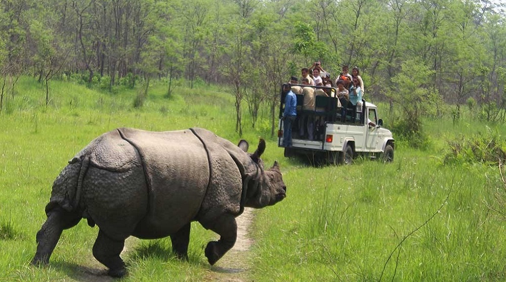 चितवन राष्ट्रिय निकुञ्जभित्र आजदेखि पर्यटकीय गतिविधि बन्द