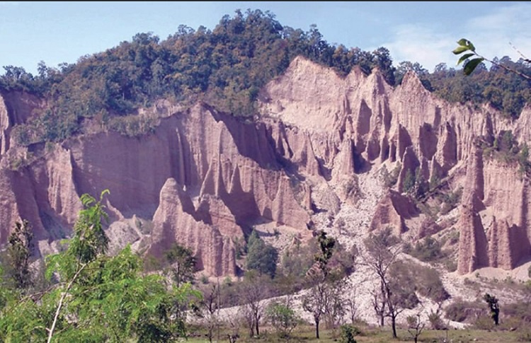 आज चुरे दिवस मनाइँदै, एकैदिन एक लाख बोटबिरुवा रोपिने