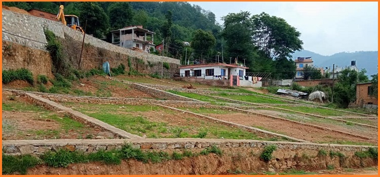 सर्वोच्चको अन्तरिम आदेशसँगै जग्गा धितो राखेर ऋण लिन पाईने (आदेशसहित)