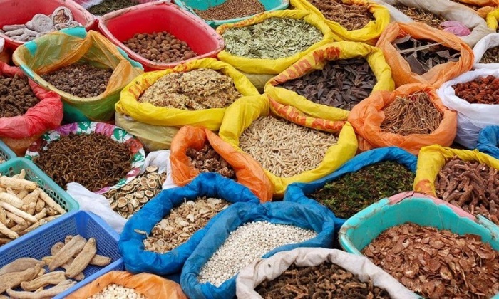 गोरखामा संरक्षण क्षेत्रभित्र बढ्यो ‘जडीबुटी’ तस्करी