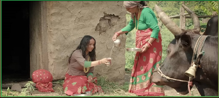 छाउपडी प्रथाविरुद्ध सचेतनामुलक गीत 'छाउपडीको वेदना' सार्वजनिक