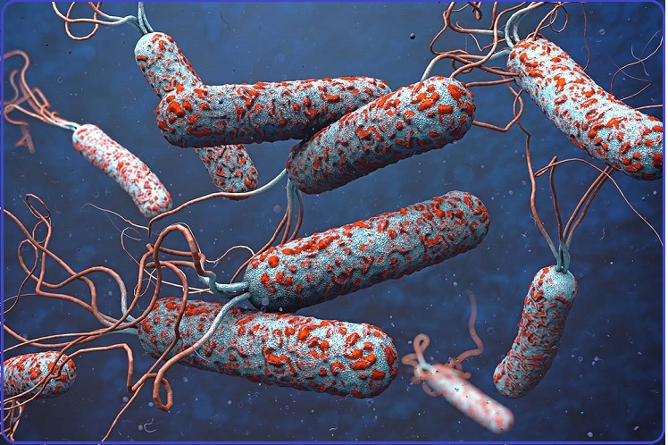 उपत्यकामा हैजाका बिरामीको संख्या १९ जना पुग्यो