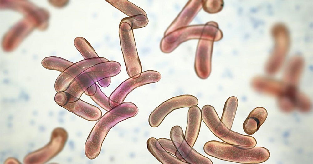 काठमाडौं उपत्यकामा २७ जनामा हैजा