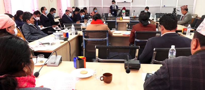 एमालेद्वारा संसदीय समितिको बैठक बहिष्कार,सभापतिको राजीनामा माग