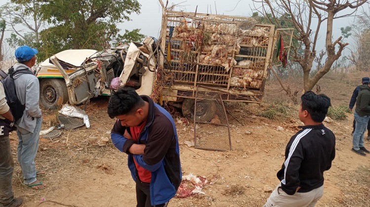 कुखुरा बाेकेकाे जीप पल्टिदा चार सय कुखुरा मरे